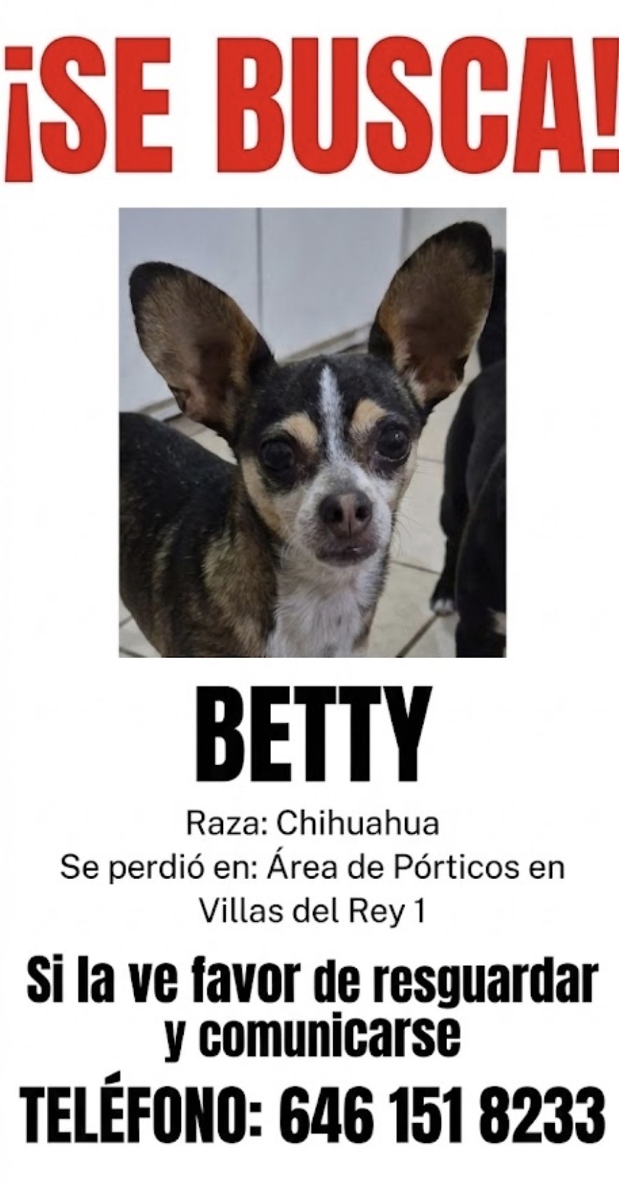 ¡Ayuda a Encontrar a Betty en Villas del Rey!